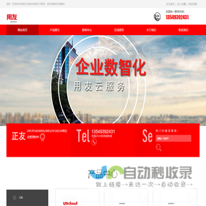 东莞市正友软件有限公司